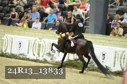 24R13_13833 thumbnail
