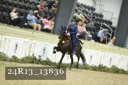 24R13_13836 thumbnail