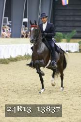 24R13_13837 thumbnail