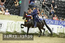 24R13_13839 thumbnail