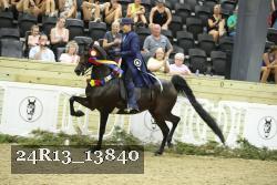 24R13_13840 thumbnail