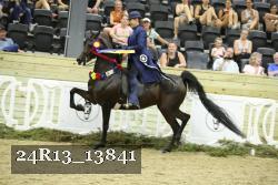24R13_13841 thumbnail