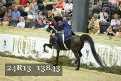 24R13_13843 thumbnail