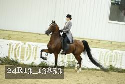 24R13_13853 thumbnail