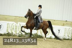 24R13_13854 thumbnail