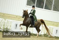 24R13_13855 thumbnail