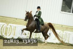 24R13_13856 thumbnail