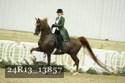 24R13_13857 thumbnail