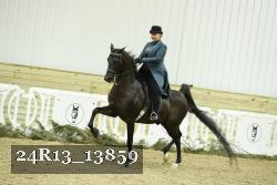 24R13_13859 thumbnail