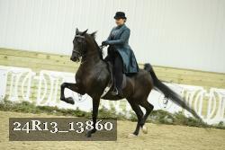 24R13_13860 thumbnail