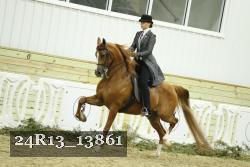 24R13_13861 thumbnail