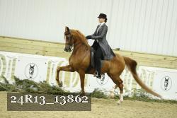 24R13_13862 thumbnail
