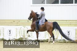 24R13_13863 thumbnail