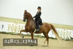 24R13_13864 thumbnail