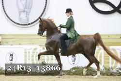 24R13_13866 thumbnail