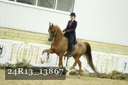 24R13_13867 thumbnail