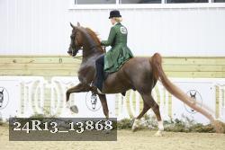 24R13_13868 thumbnail