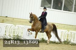 24R13_13869 thumbnail