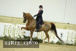 24R13_13870 thumbnail