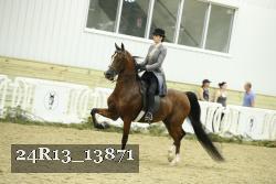 24R13_13871 thumbnail