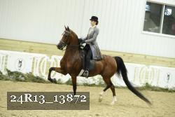 24R13_13872 thumbnail