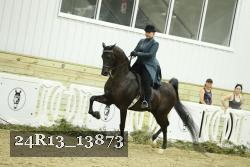 24R13_13873 thumbnail