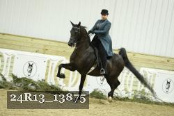 24R13_13875 thumbnail
