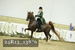 24R13_13876 thumbnail