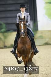 24R13_13877 thumbnail