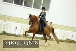 24R13_13878 thumbnail