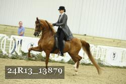 24R13_13879 thumbnail