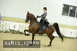 24R13_13880 thumbnail