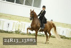 24R13_13883 thumbnail