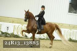 24R13_13885 thumbnail