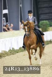 24R13_13886 thumbnail