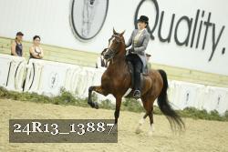24R13_13887 thumbnail