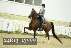 24R13_13888 thumbnail