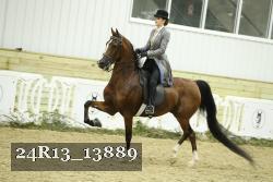 24R13_13889 thumbnail