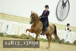 24R13_13890 thumbnail