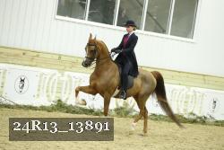 24R13_13891 thumbnail