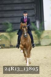 24R13_13895 thumbnail
