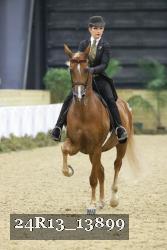 24R13_13899 thumbnail