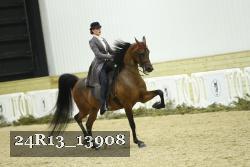 24R13_13908 thumbnail