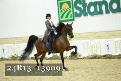 24R13_13909 thumbnail