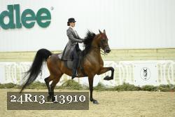 24R13_13910 thumbnail