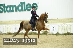 24R13_13912 thumbnail