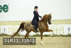 24R13_13913 thumbnail