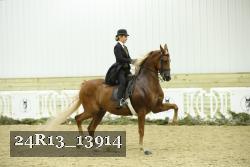 24R13_13914 thumbnail