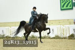 24R13_13915 thumbnail