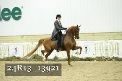 24R13_13921 thumbnail